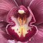 Your Vulva Deserves Better: The Truth About Caring for Her