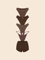 Taste Of Jaymes Bundle Espresso