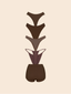 Taste Of Jaymes Bundle Espresso